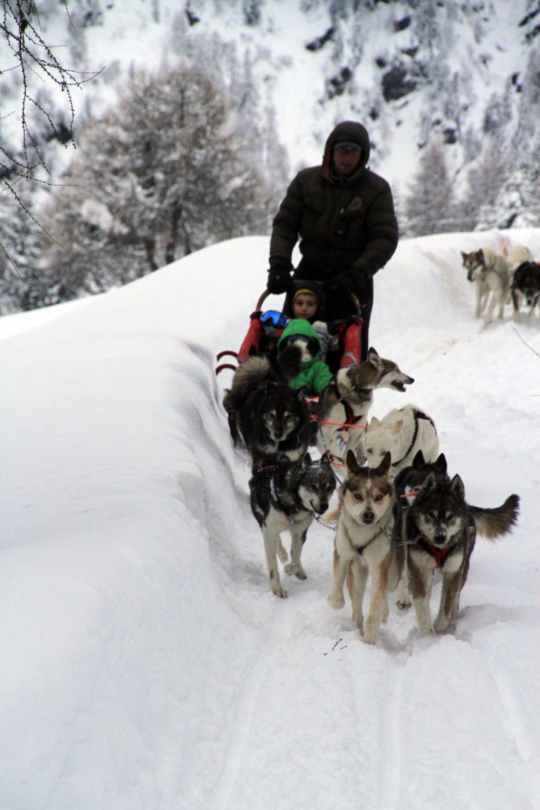 Sleddog in Valtellina con bambini Arnoga GEnnaio 2014 064
