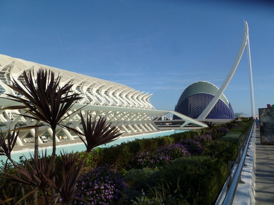 Valencia con bambini image