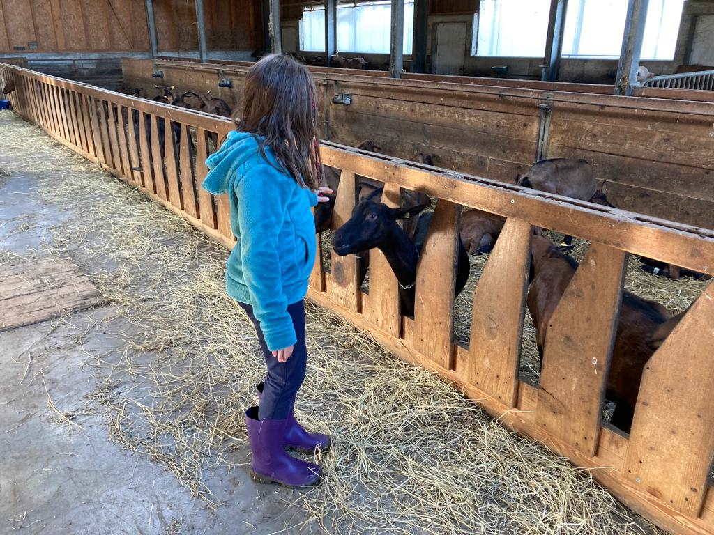 Cascina Bagaggera Parco del Curone con bambini