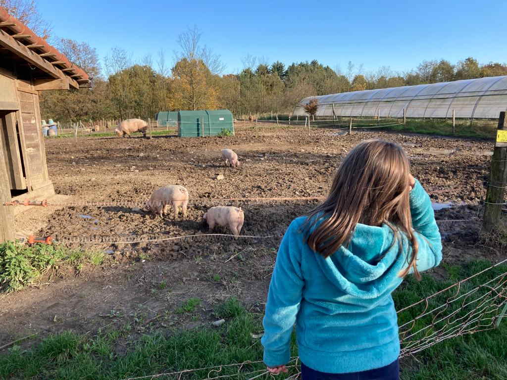 Cascina Bagaggera animali della fattoria