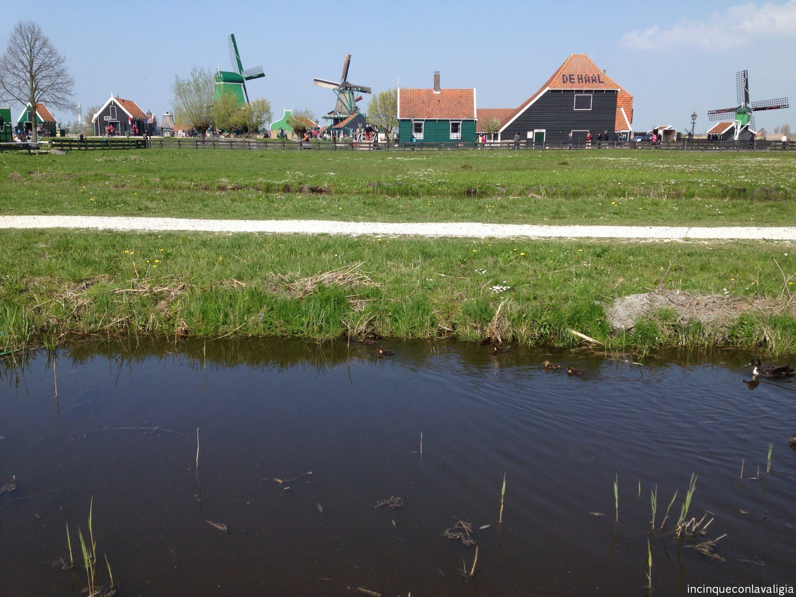 Mulini Zaanse Schans Zaanse Schans con i bambini