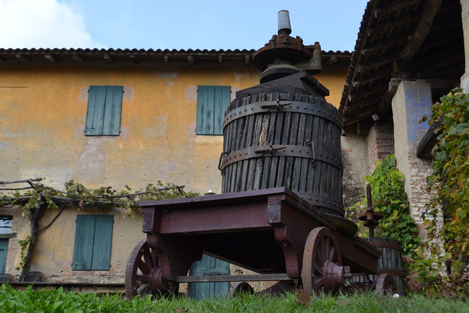 Slow travel - Parco del Curone Curone albero magico Slow Travel