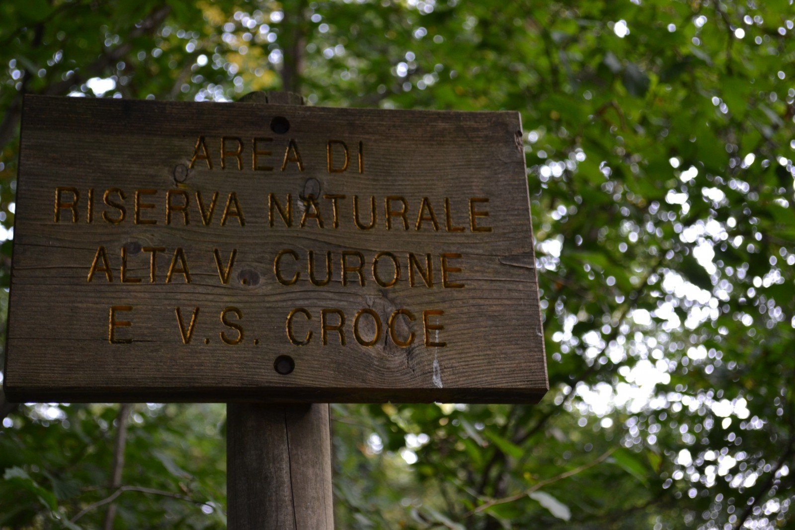 Slow Travel a chilometro zero - Parco del Curone Slow travel a chilometro zero