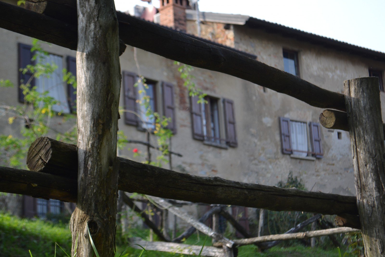 Cascina al Parco del Curone Curone albero magico