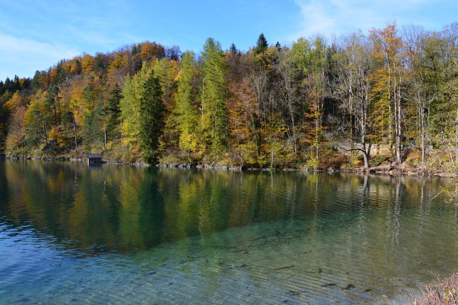 Baviera Ottobre 2014 160