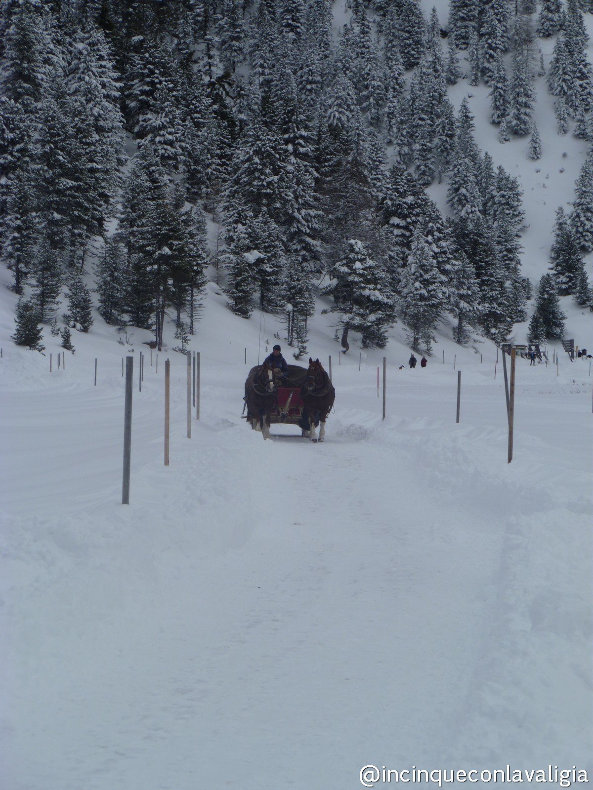 In carrozza in Val Roseg Val Roseg carrozza cavalli