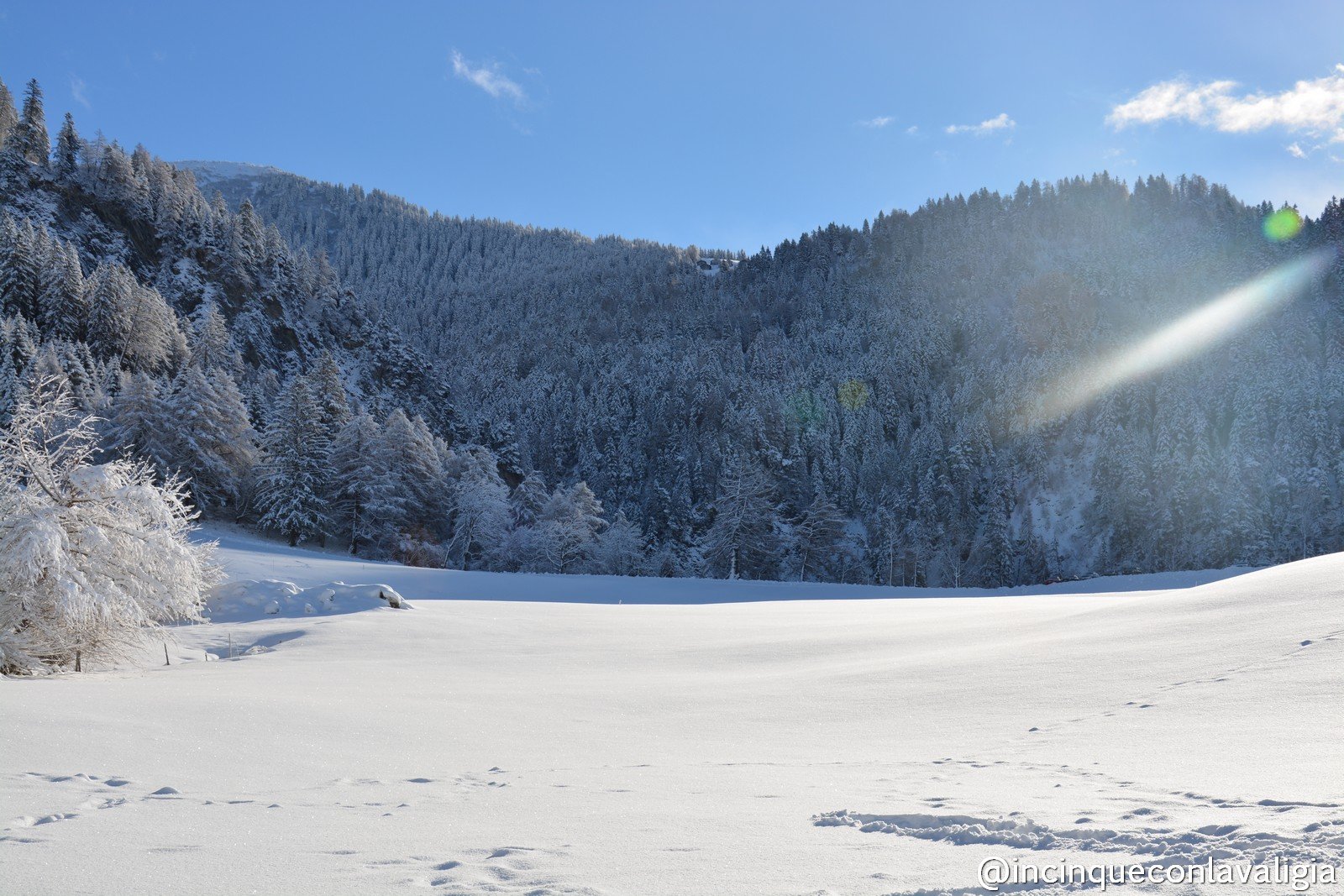 Lenzerheide gennaio 2015 230