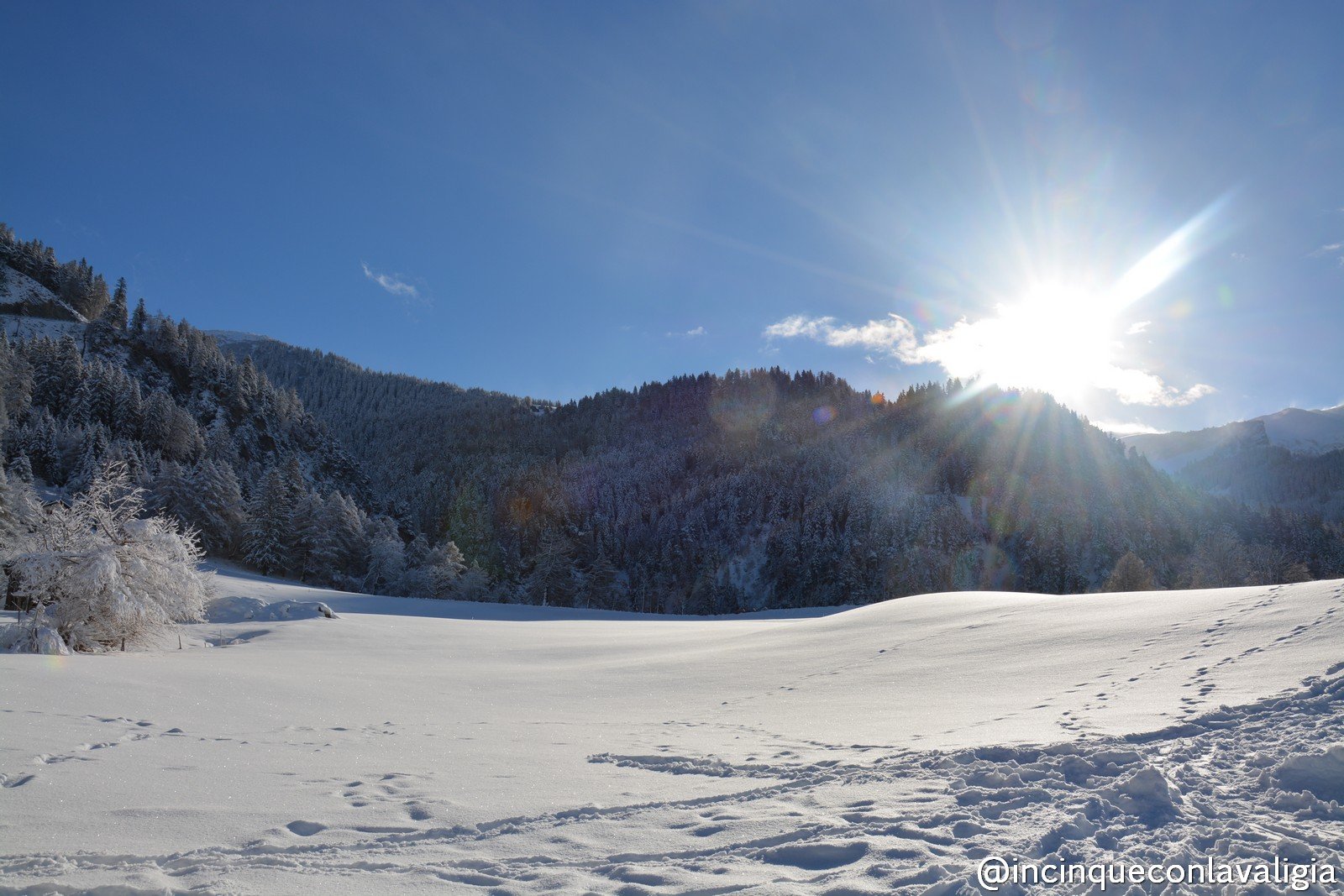 Lenzerheide gennaio 2015 232