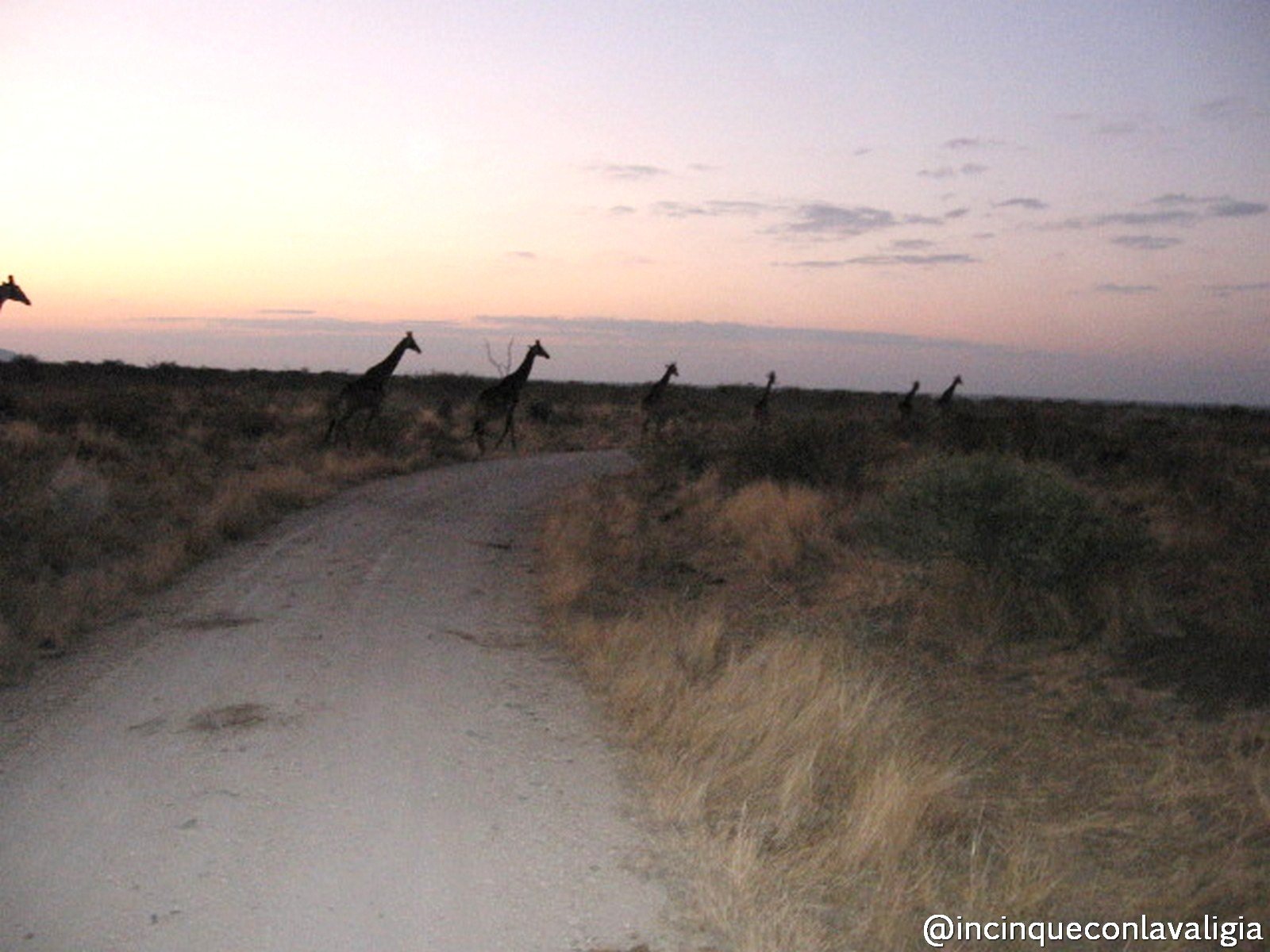 Viaggio in Sudafrica incinta Viaggio in Africa incinta
