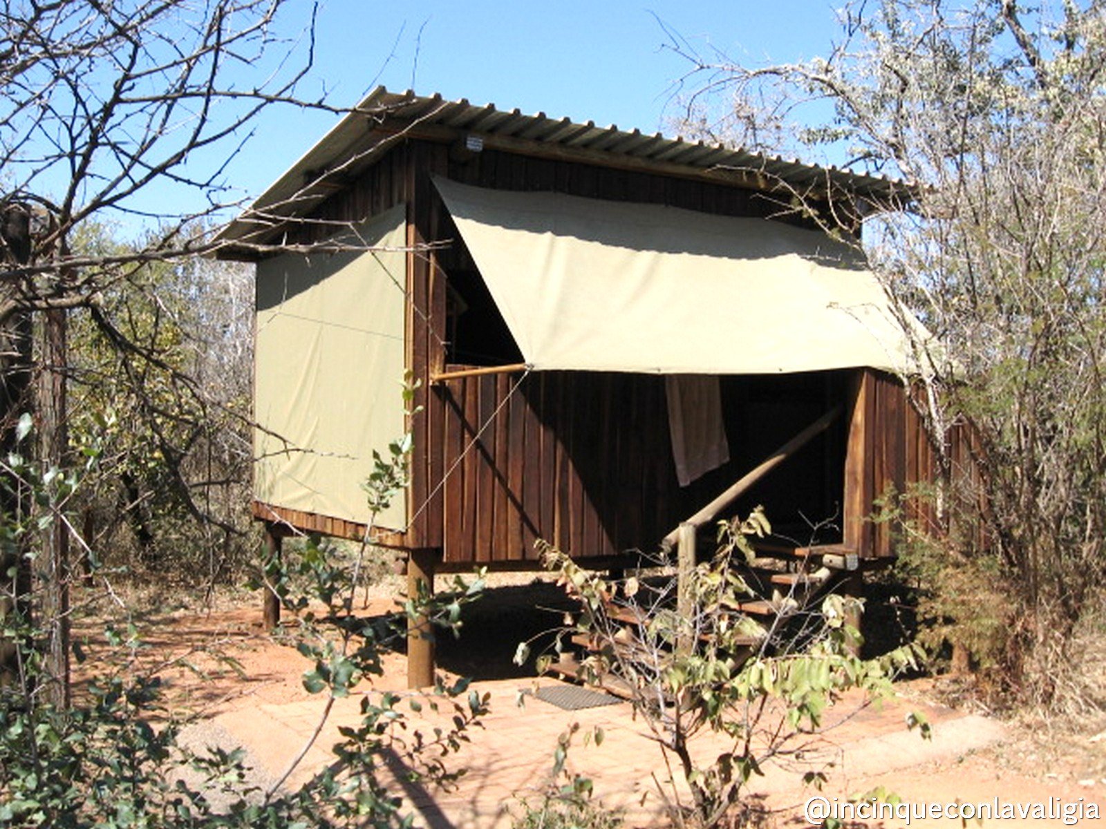 Safari in Sudafrica Safari in Sudafrica