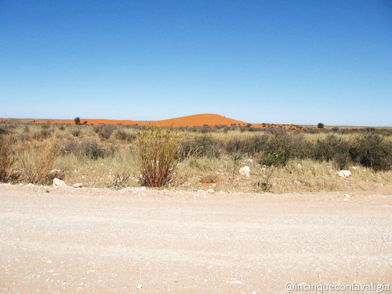 Deserto del Kalahari in Sudafrica Deserto del Kalahari