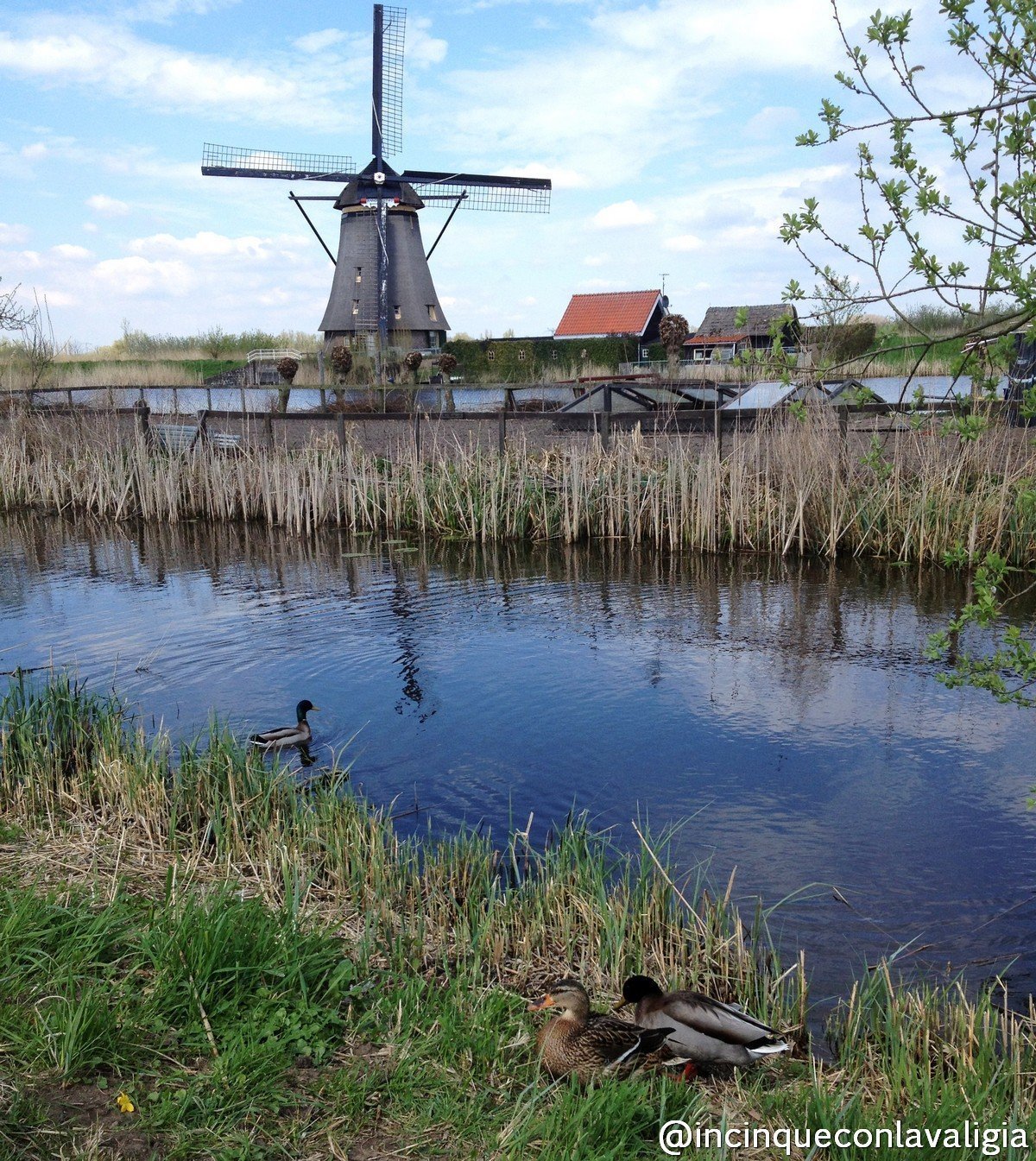 Mulini in Olanda Olanda mulini a vento