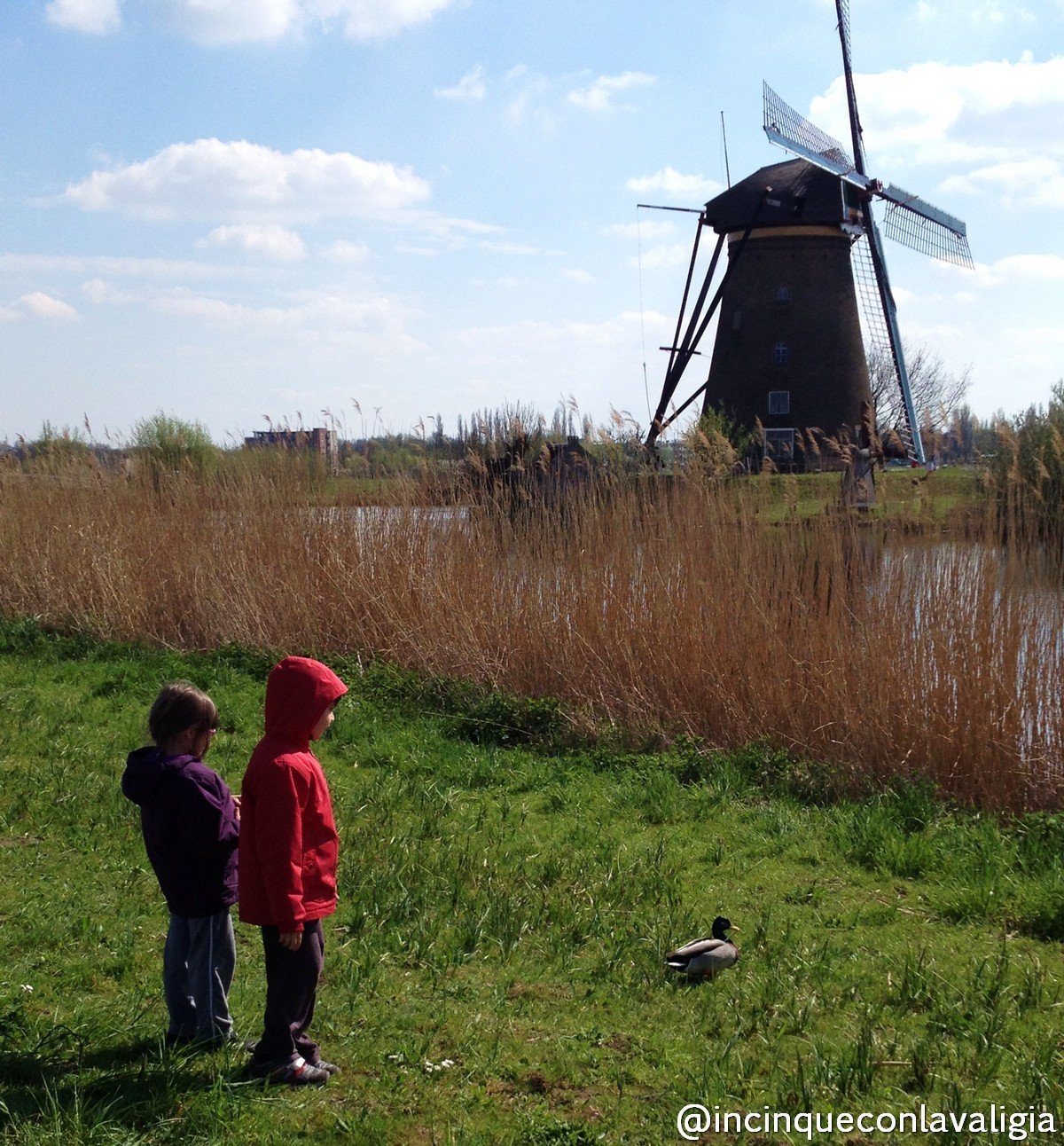 Mulini di Kinderdijk Olanda Kinderdijk