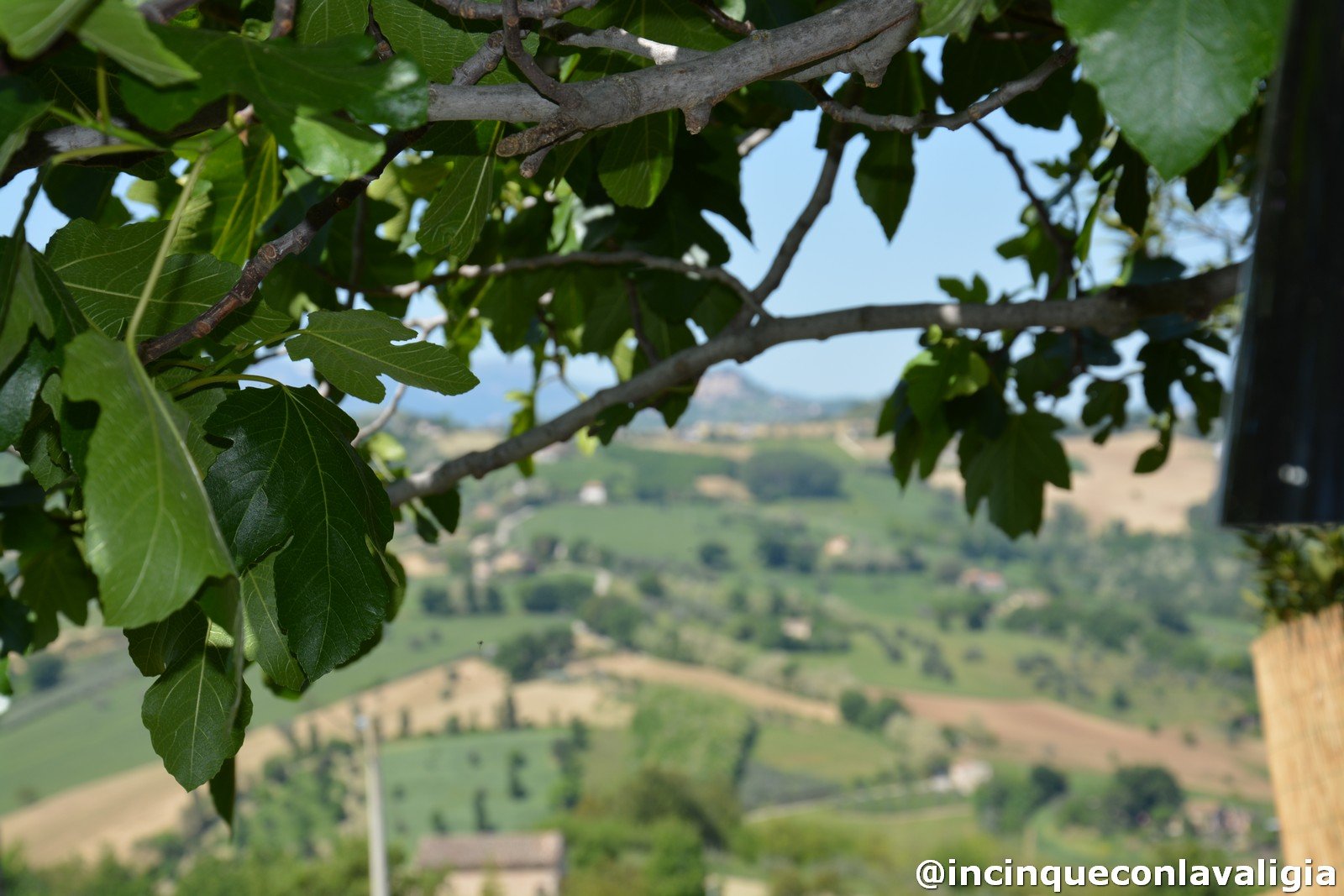 Campagna dell'entroterra fermano Dove dormire nelle Marche con i bambini