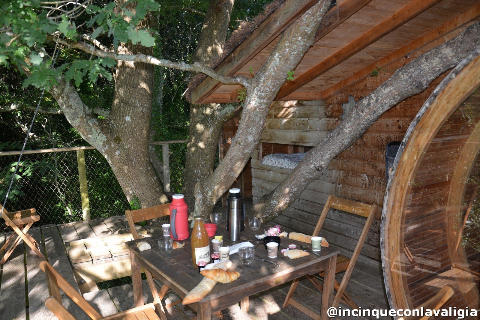 Baguette fresche e croissants per colazione Dormire su un albero in Bretagna