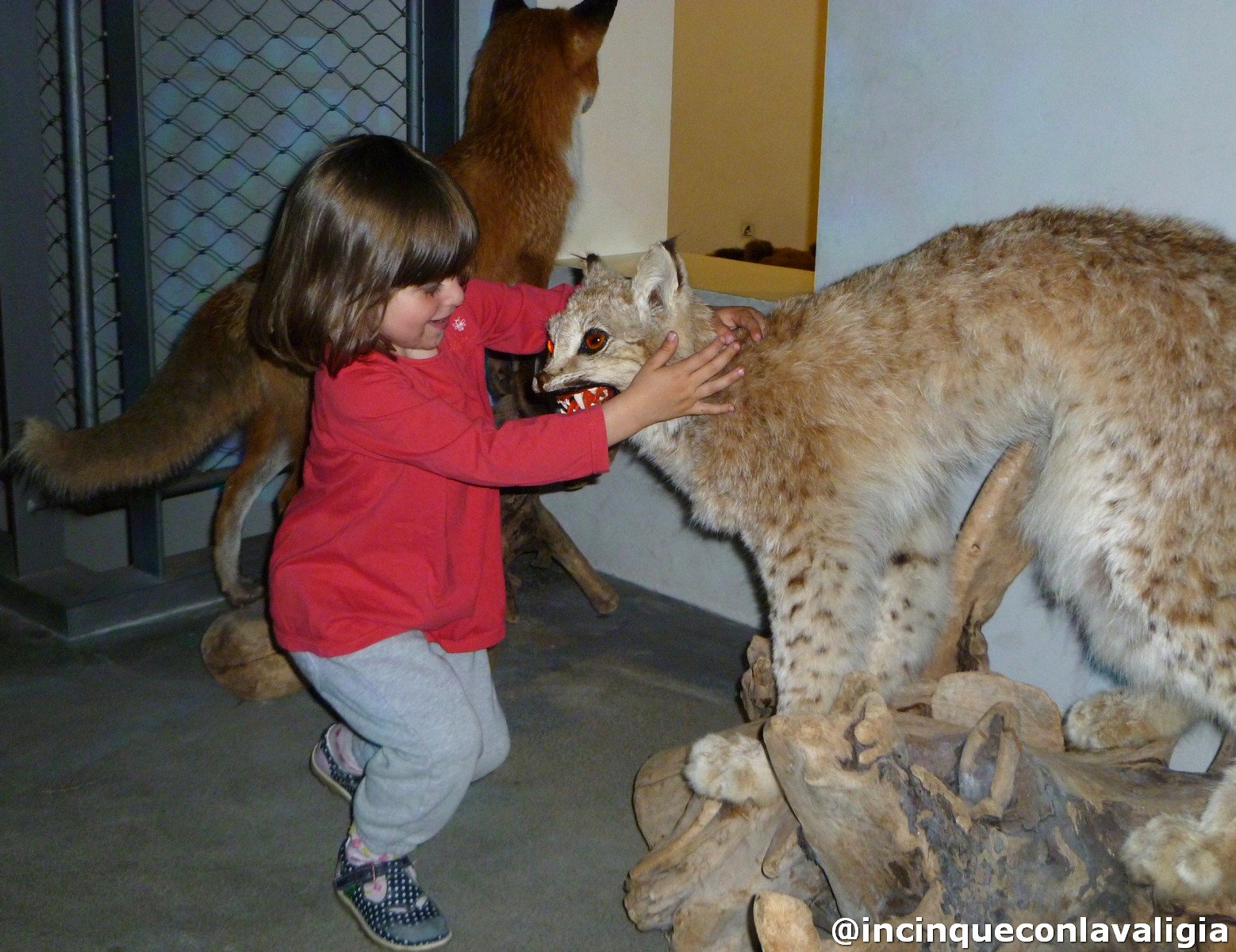Naturama con i bambini Musei in Danimarca per bambini