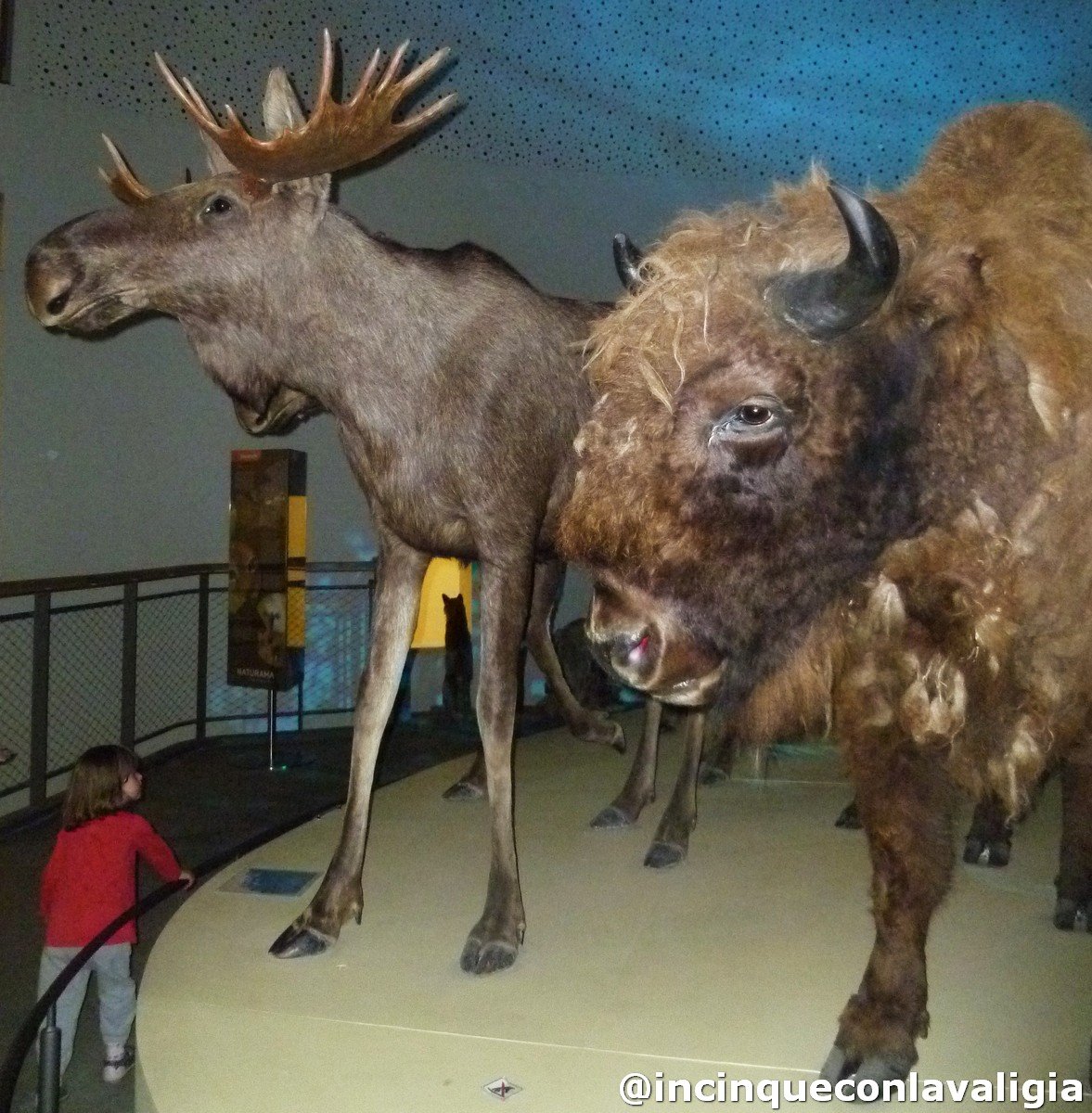 Percorso al museo Naturama Danimarca con bambini