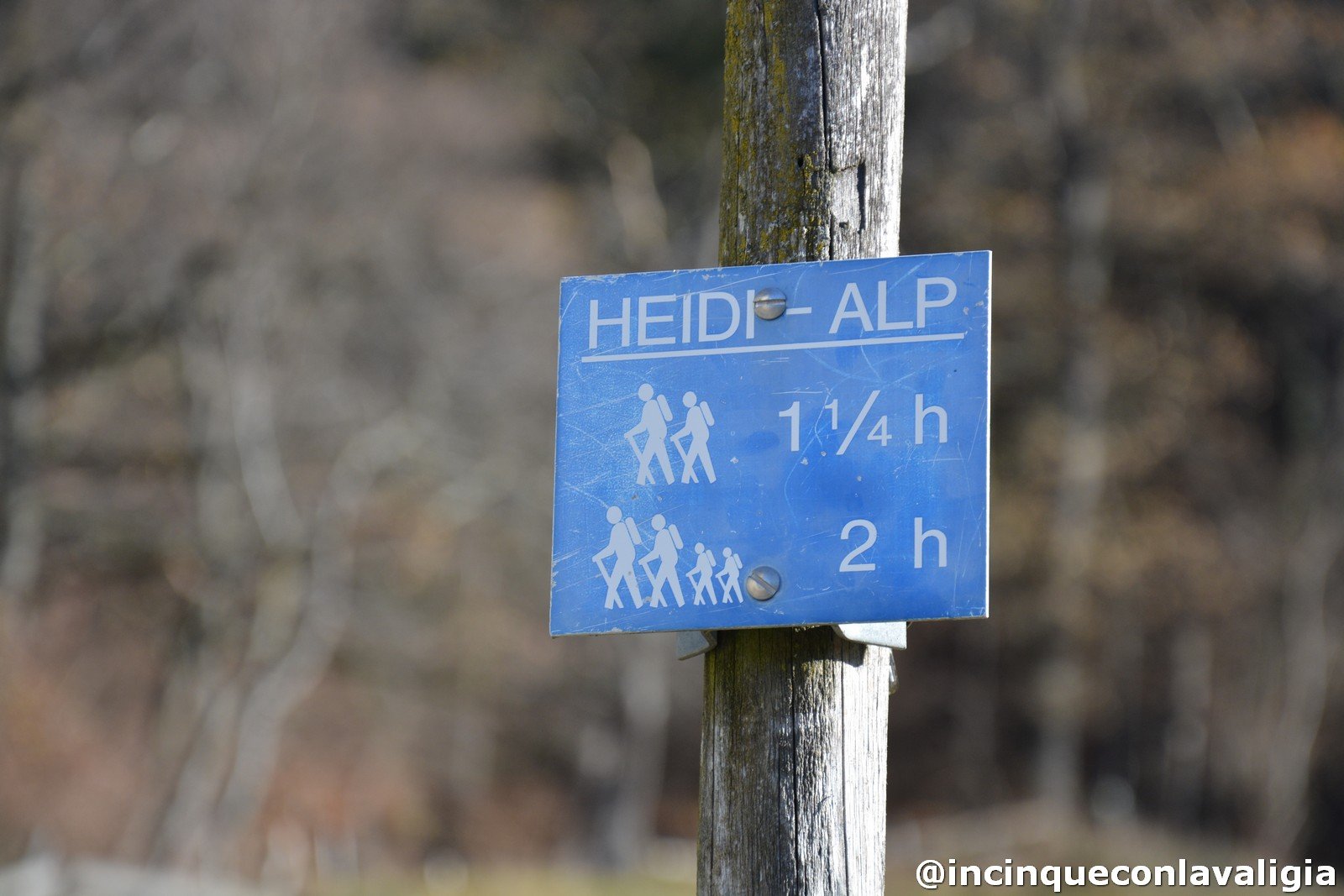 Heidi Alp Heidi Alp