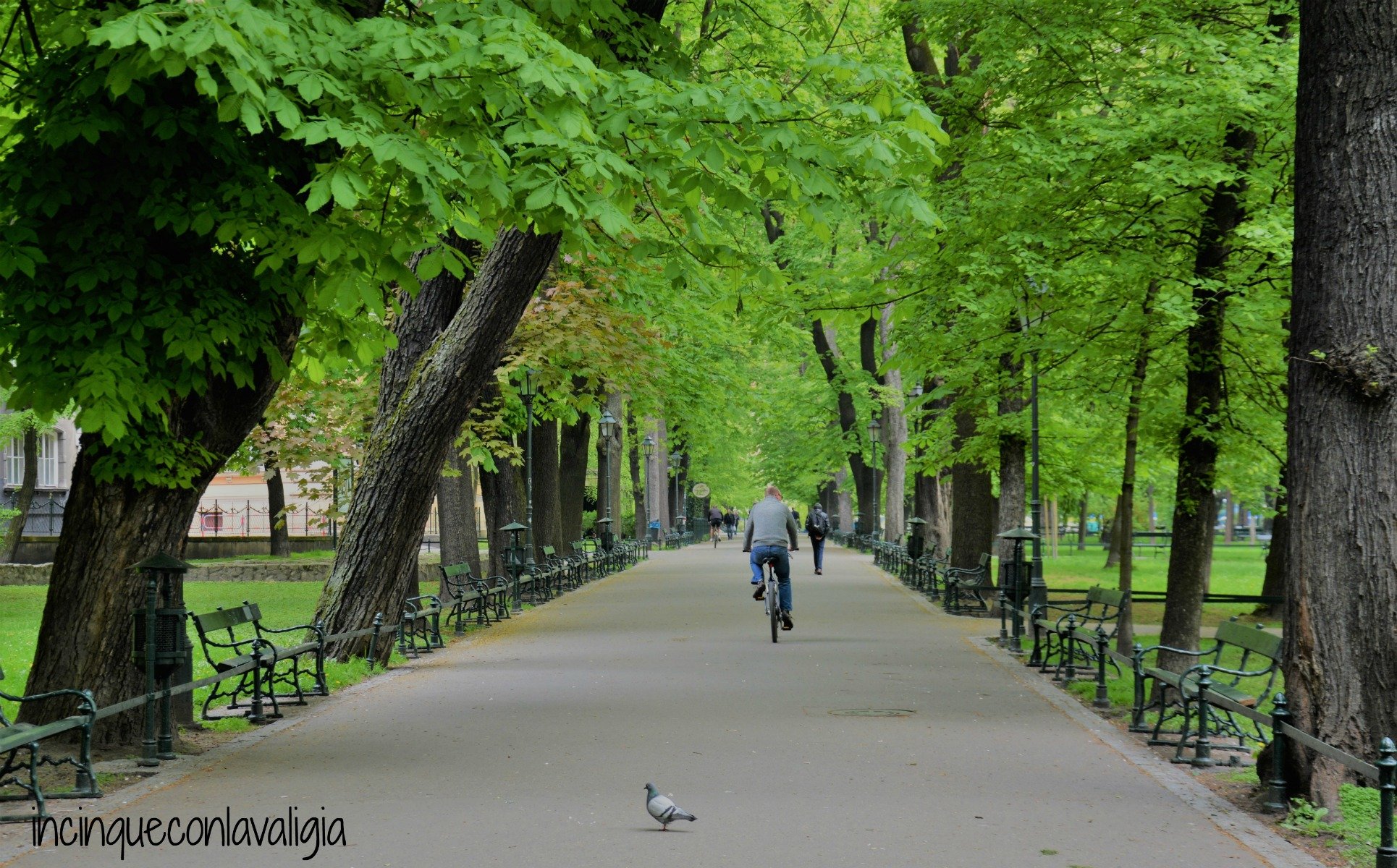 Cracovia con bambini