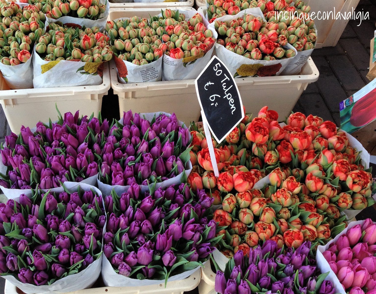 Mercato dei fiori ad Amsterdam Mercato dei fiori Amsterdam