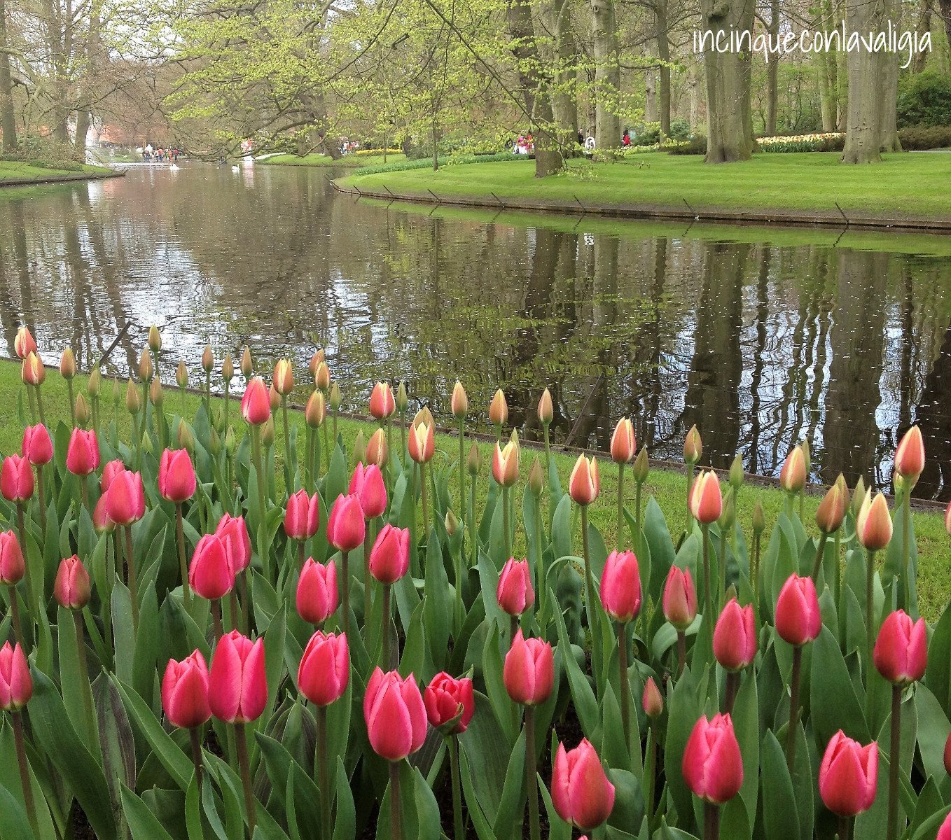 Parco Keukenhof Itinerario in Olanda con bambini