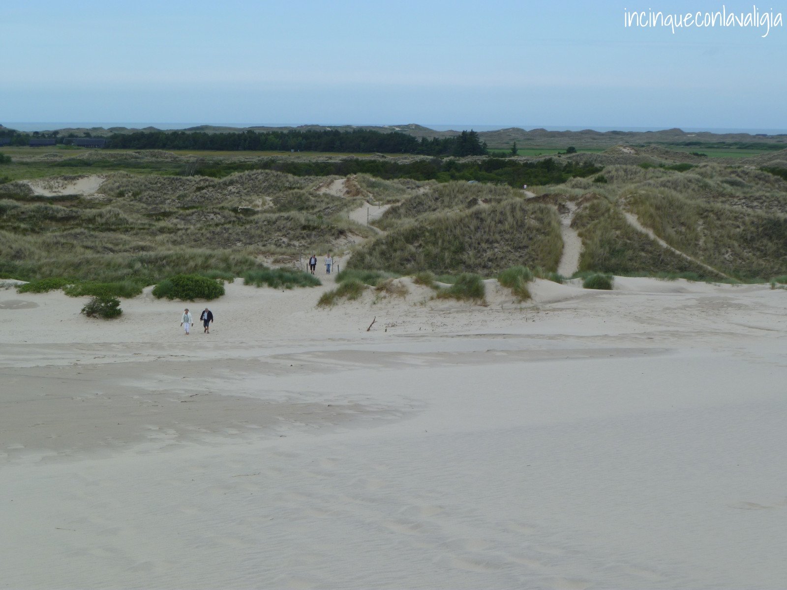 Dune di sabbia in Danimarca Le dune di Råbjerg Mile