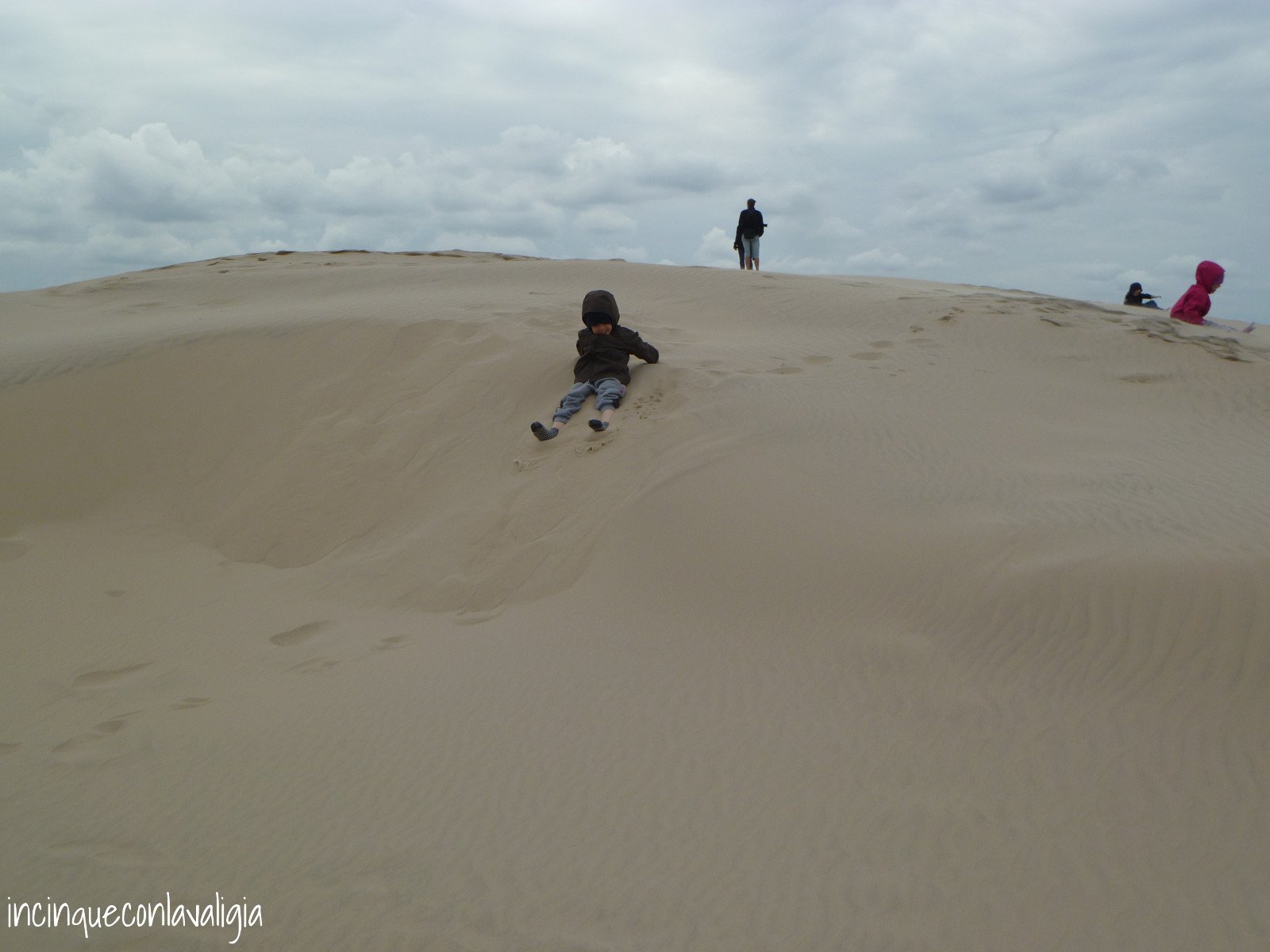 Sabbia, sabbia e ancora sabbia Le dune di Råbjerg Mile