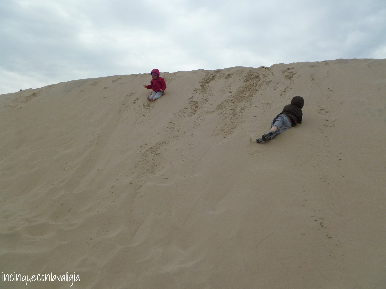 Le dune di Råbjerg Mile
