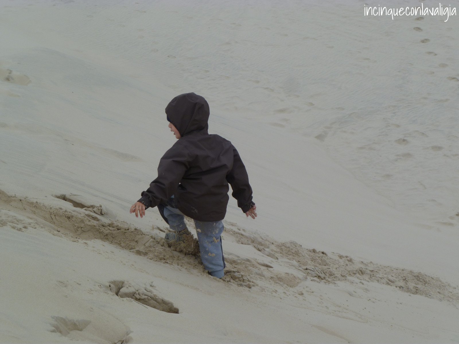 Divertirsi nella sabbia Le dune di Råbjerg Mile