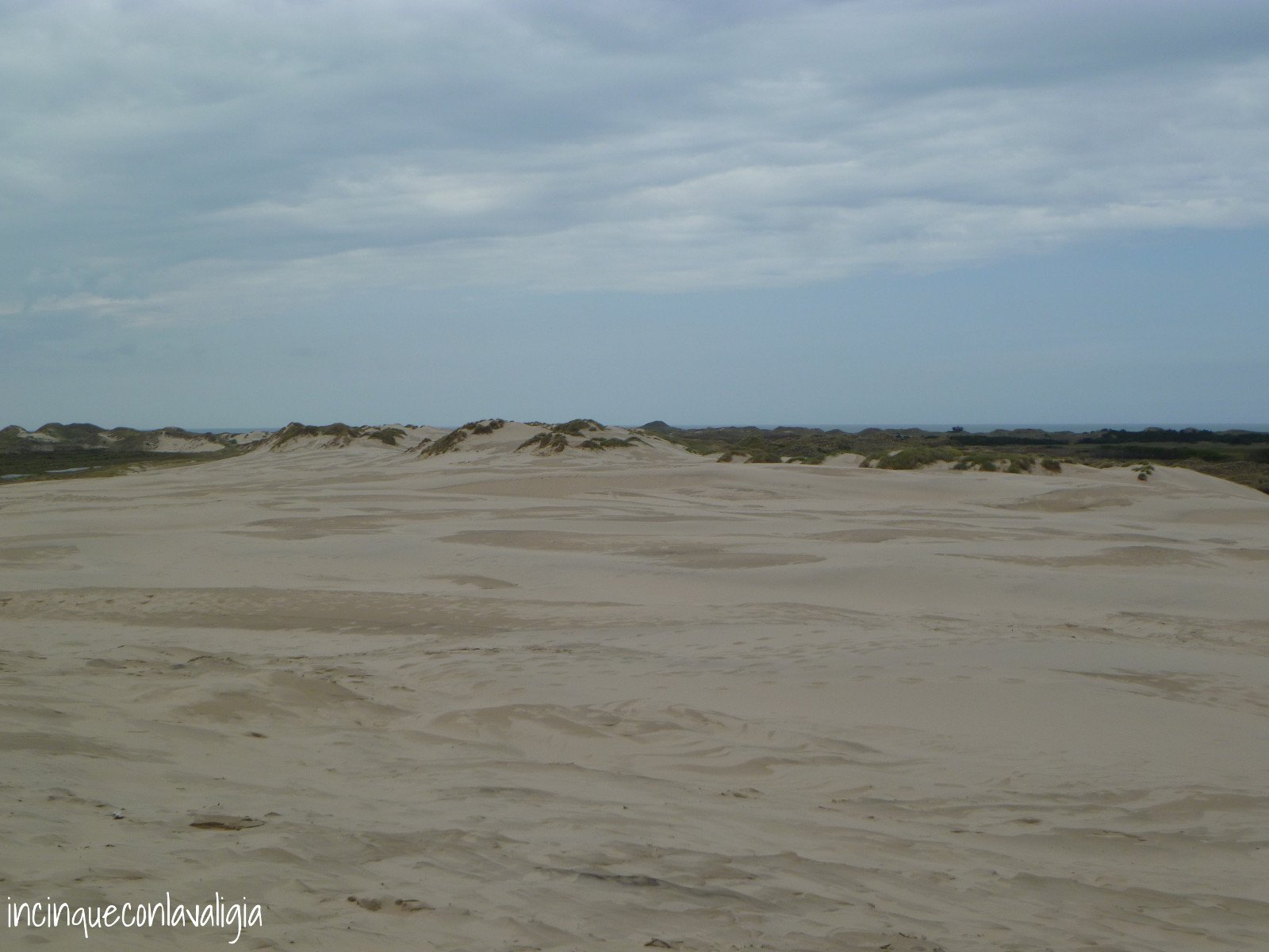 Dune di sabbia in Danimarca Le dune di Råbjerg Mile