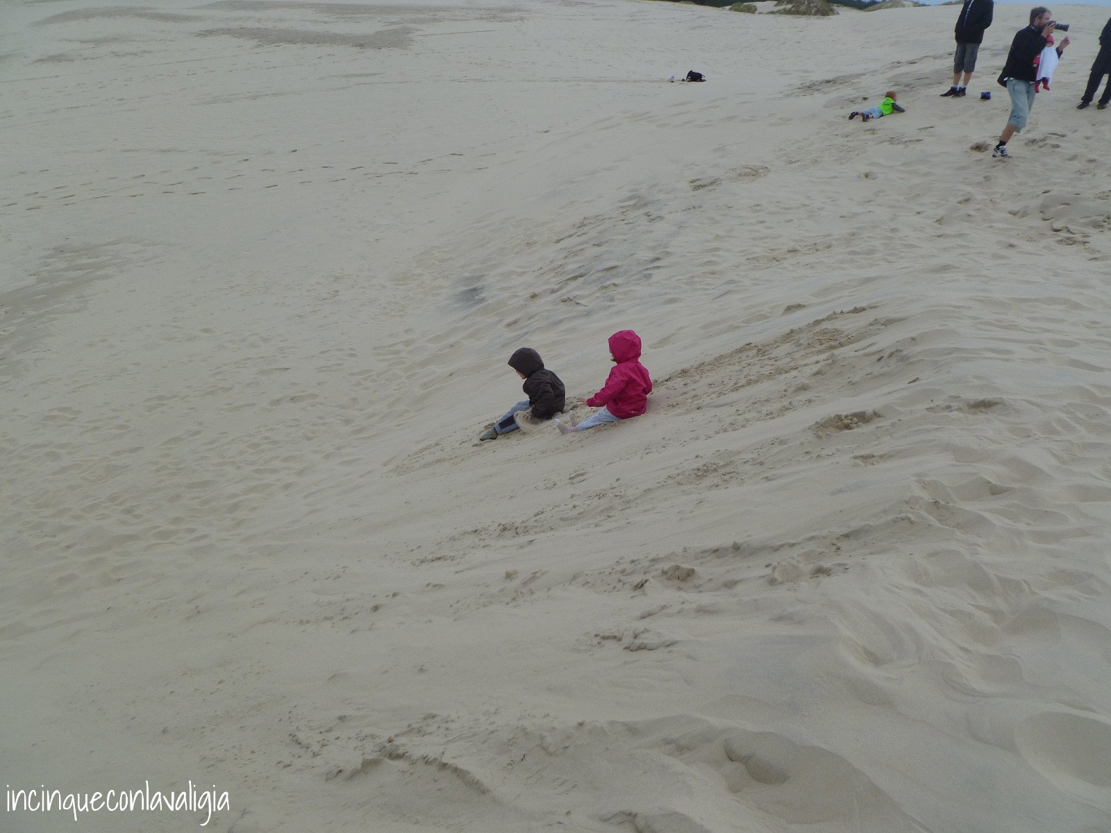 Divertimento tra le dune di sabbia Le dune di Råbjerg Mile
