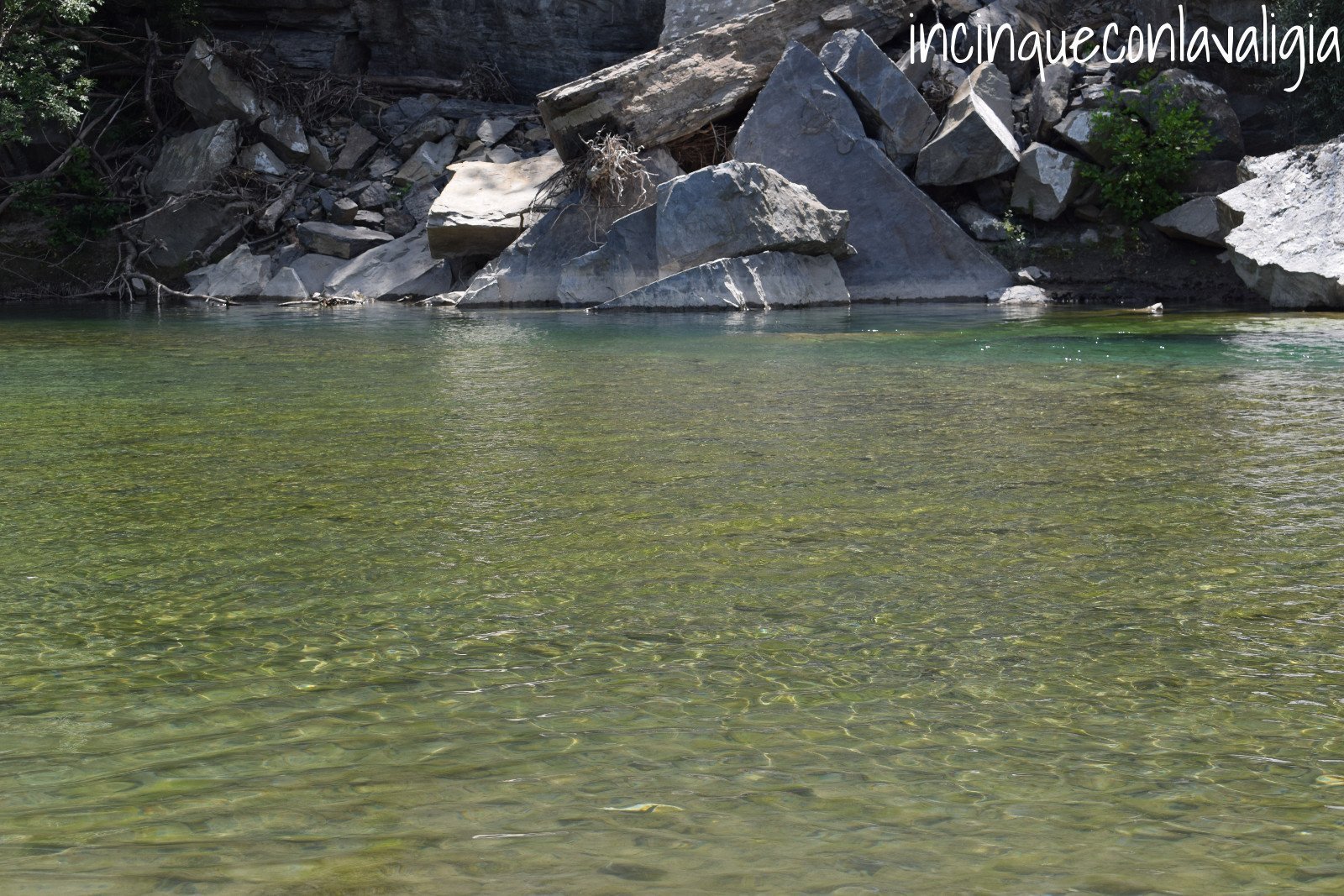 Le acque del fiume Trebbia Il fiume Trebbia