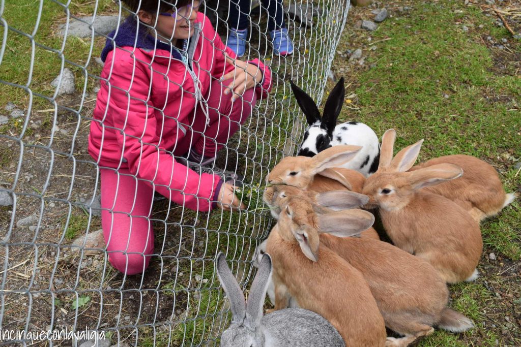 Fermata Morteratsch cosa fare con bambini Trenino rosso del Bernina con bambini