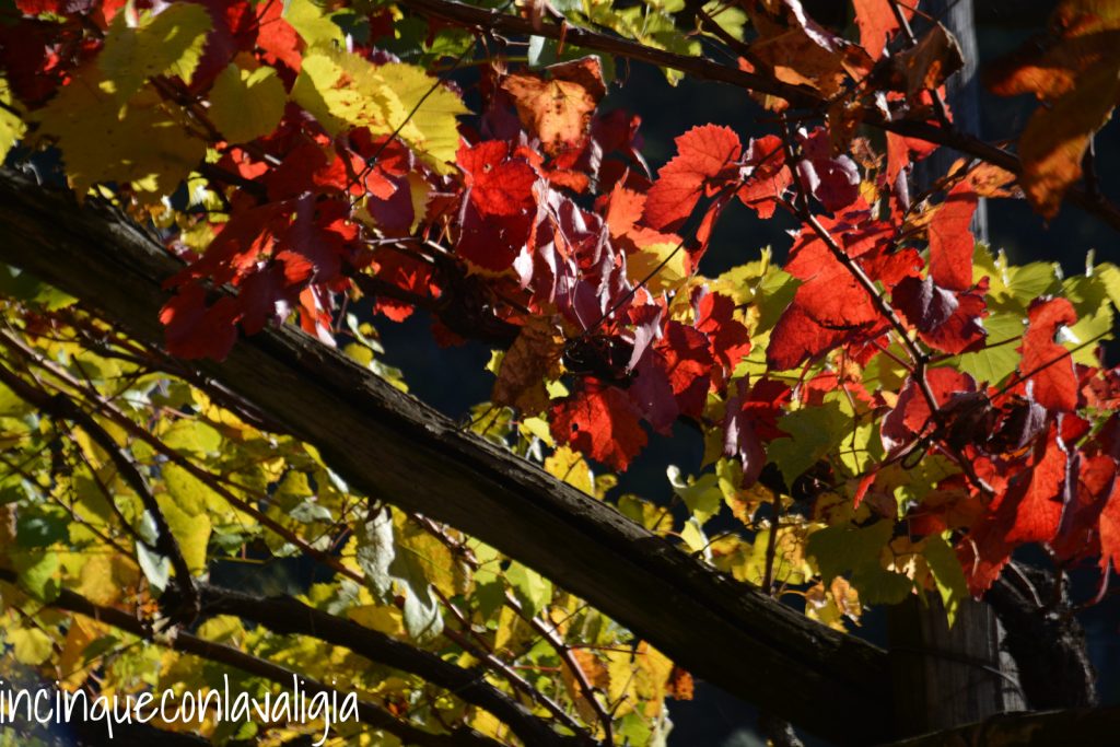 Autunno a Merano Giardini Trauttmansdorff a Merano con bambini