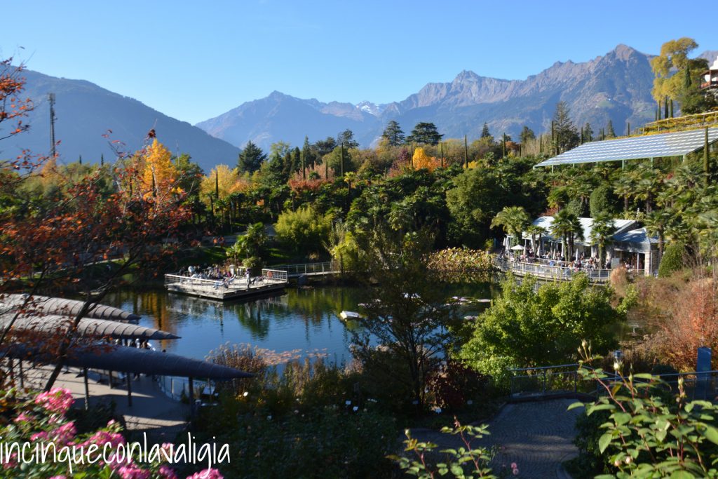 Laghetto nel parco Laghetto e giardini