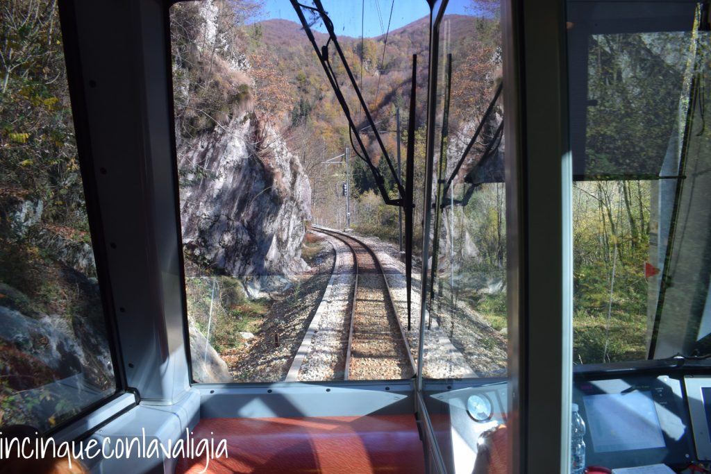 A bordo del treno del foliage Treno del foliage Vigezzina Centovalli