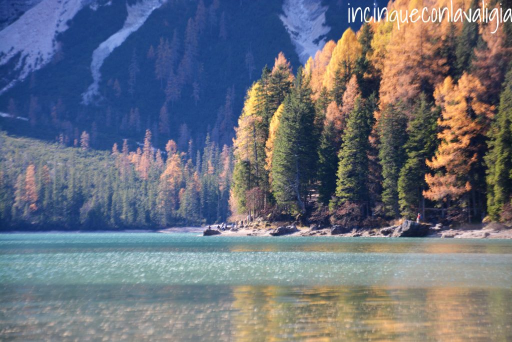 Foliage Lago di Braies Foliage in Alto Adige