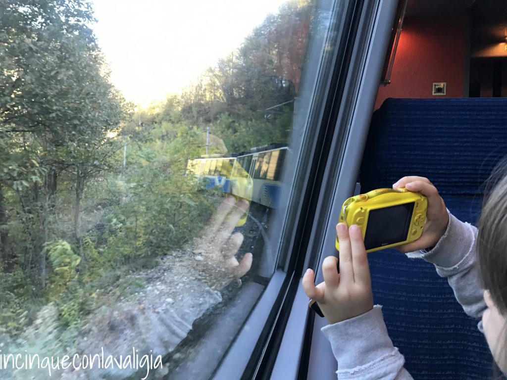 A bordo del treno del foliage Treno del foliage Vigezzina Centovalli