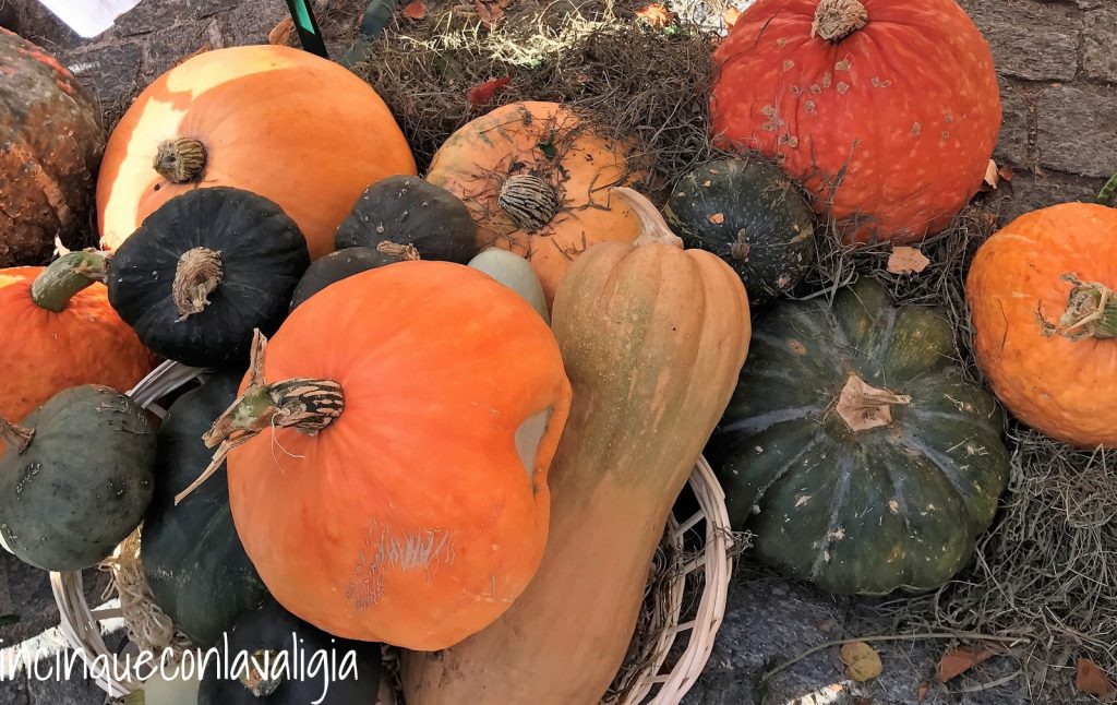 Fuori di Zucca Treno del foliage Vigezzina Centovalli