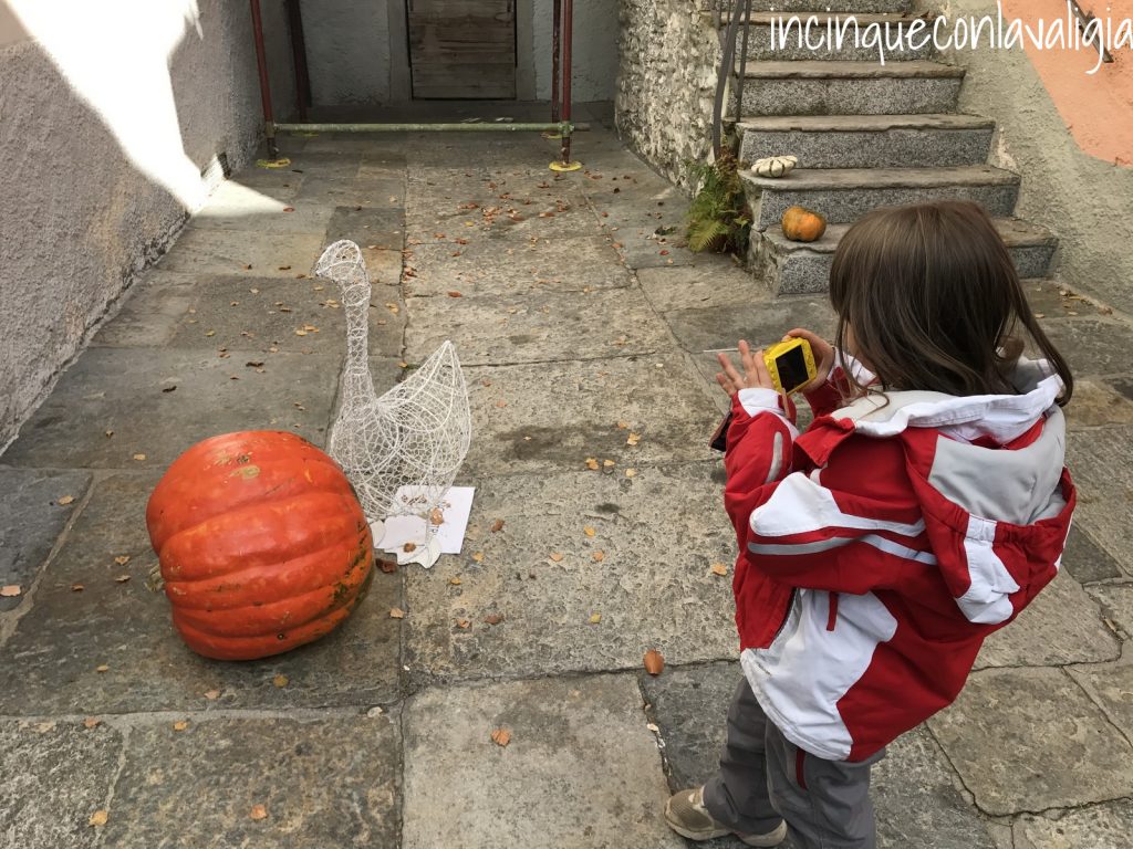 Fuori di Zucca Treno del foliage Vigezzina Centovalli