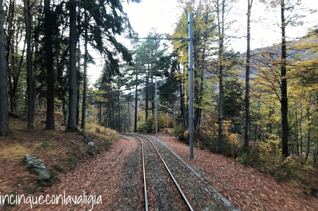 Tragitto del treno tra i boschi Treno del foliage Vigezzina Centovalli