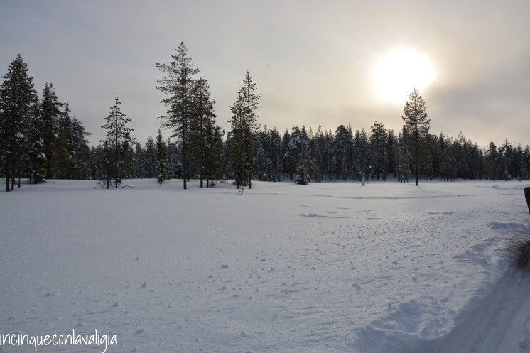 Lapponia con la neve Il vero Babbo Natale in Lapponia il paesaggio