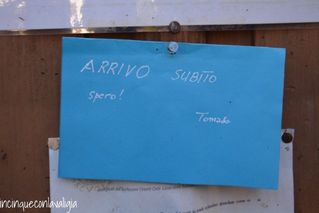 Custode museo della scuola Il mercatino di Natale di Rango