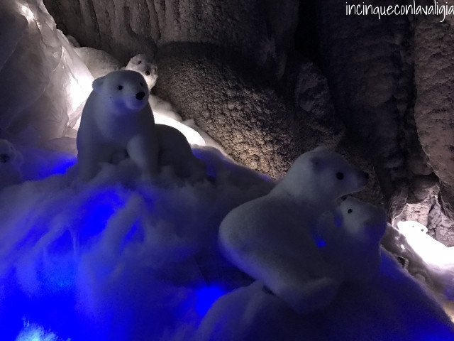 Orsi polari grotte di Rescia Natale in grotta alle grotte di Rescia