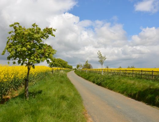 Cotswolds in primavera