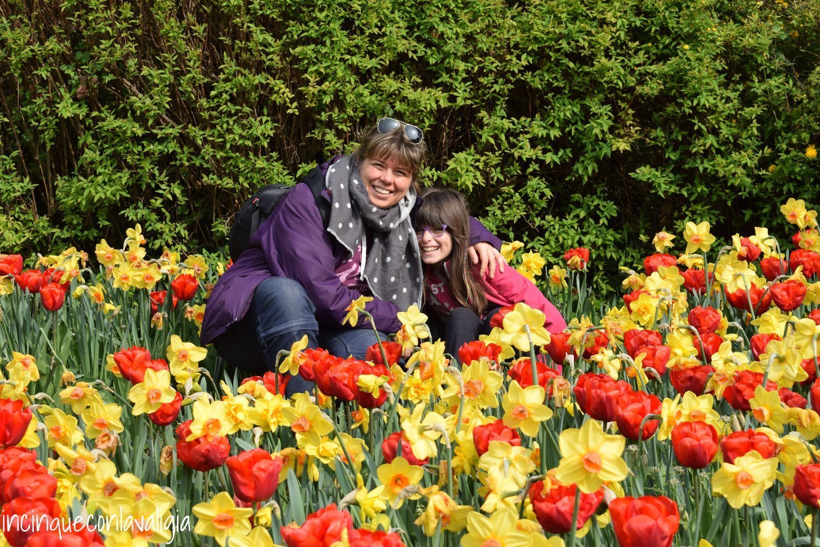 Tulipanomania Parco Sigurtà tulipani