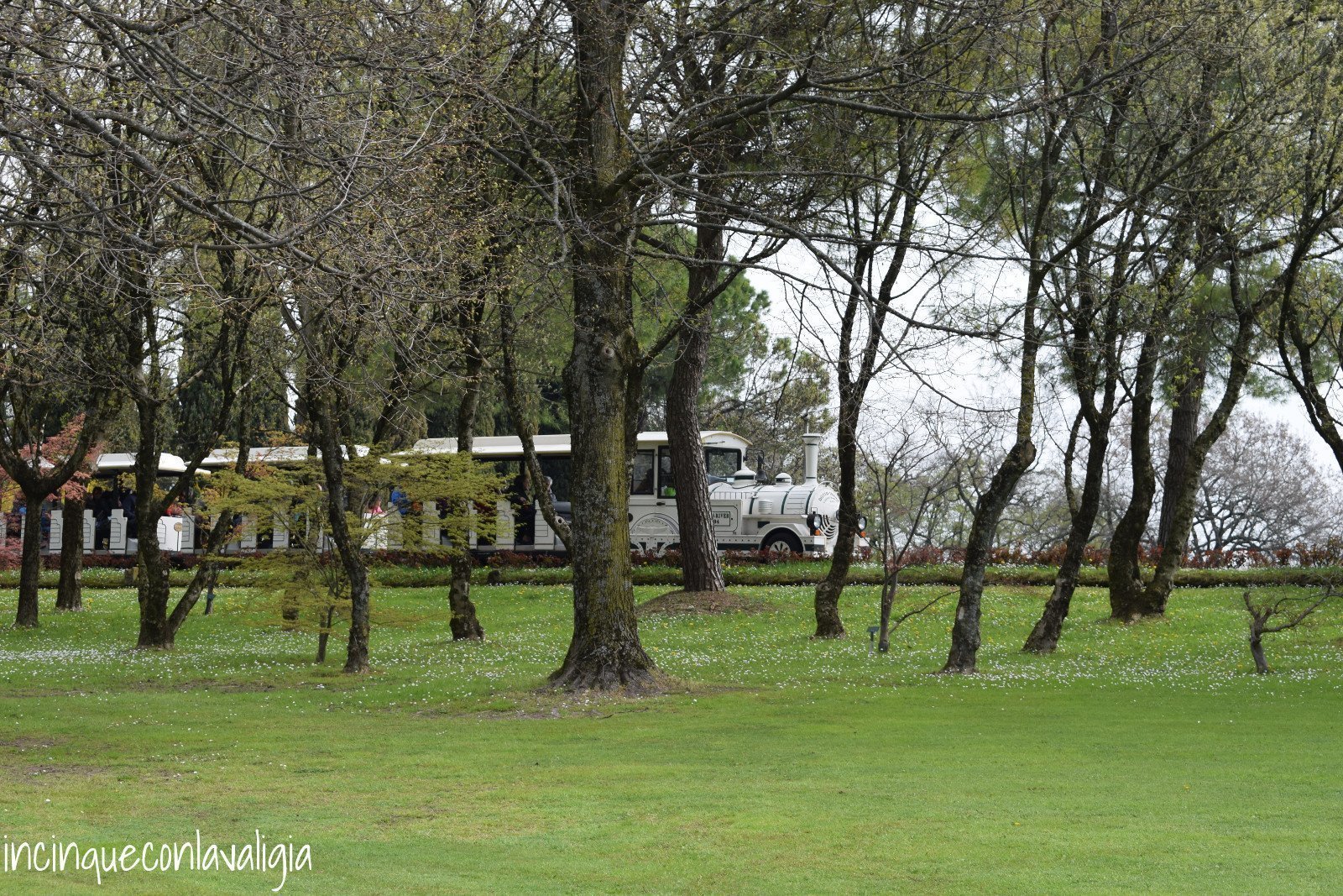 Parco Sigurtà trenino Trenino Parco Sigurtà