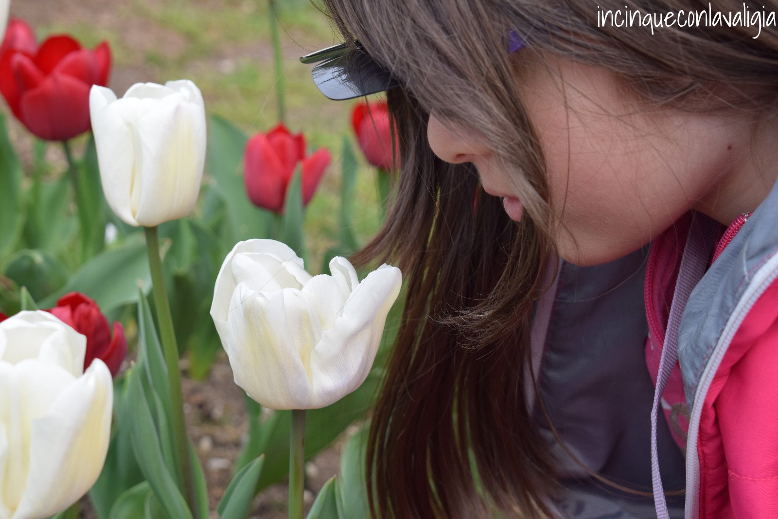 Fioriture dei tulipani con bambini Parco Sigurtà tulipani