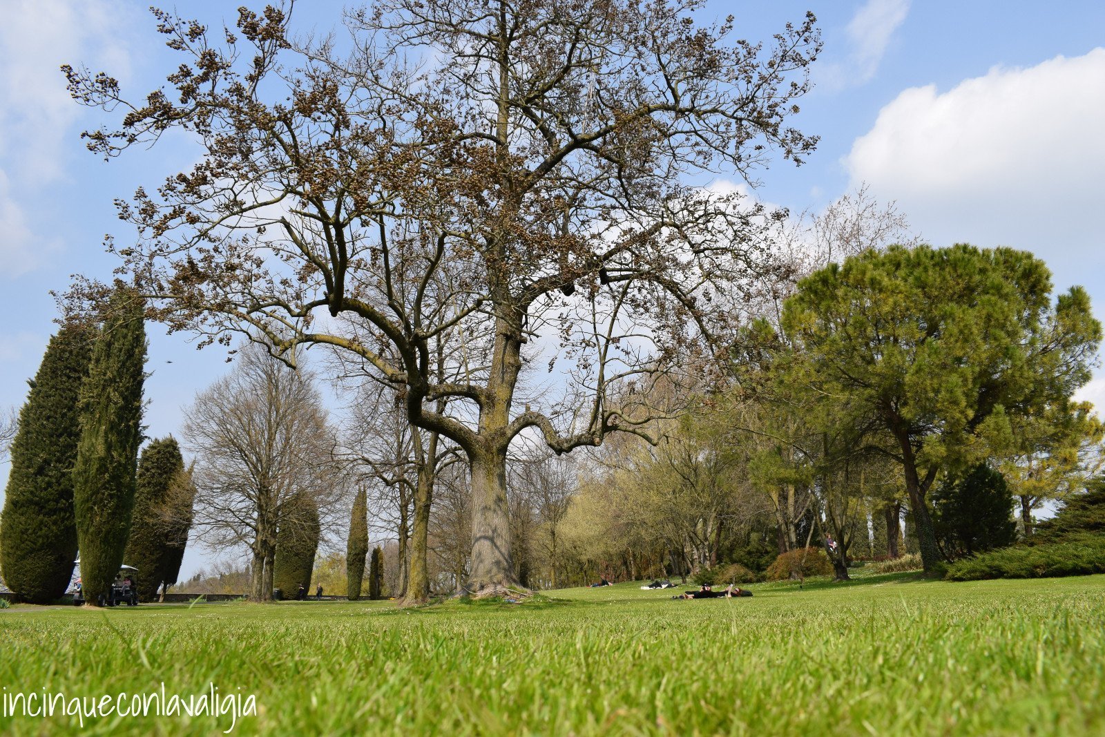 Prato del Parco Sigurtà Prato Parco Sigurtà