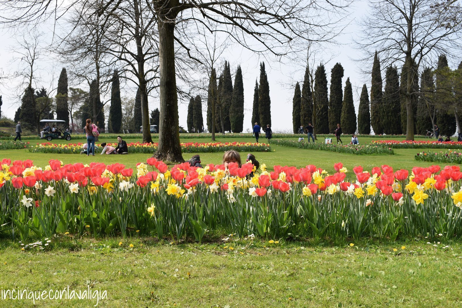 Tulipani Parco Sigurtà Parco Sigurtà tulipani